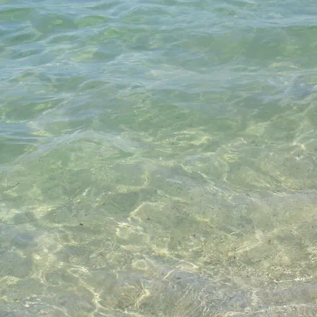 Les Grimaudieres * グリモー